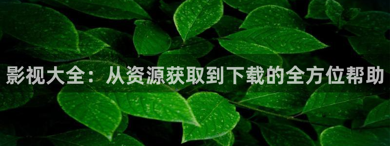 影视大全：从资源获取到下载的全方位帮助