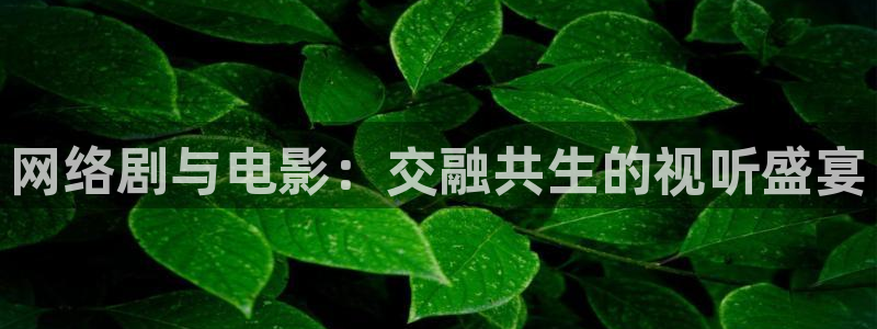 网络剧与电影：交融共生的视听盛宴