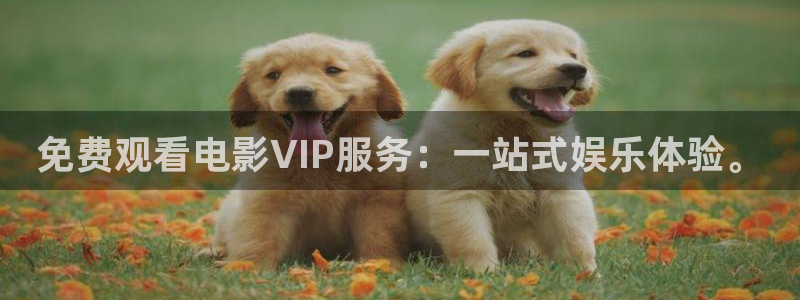 免费观看电影VIP服务：一站式娱乐体验。