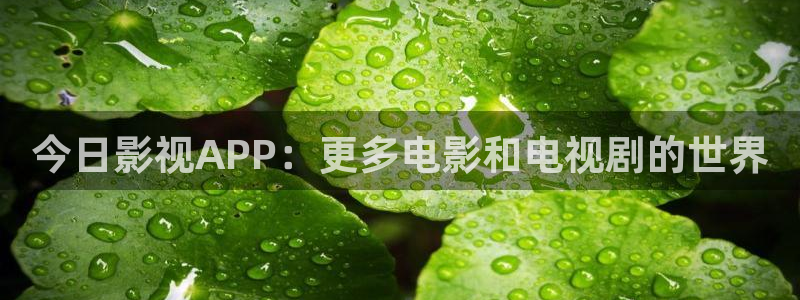 今日影视APP：更多电影和电视剧的世界