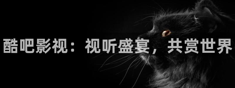 酷吧影视：视听盛宴，共赏世界