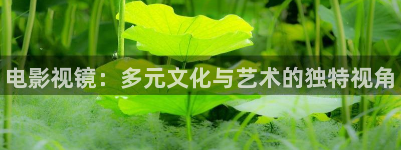 电影视镜：多元文化与艺术的独特视角