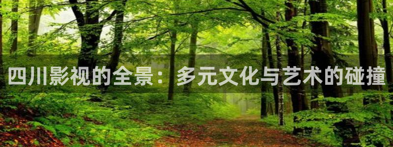 四川影视的全景：多元文化与艺术的碰撞