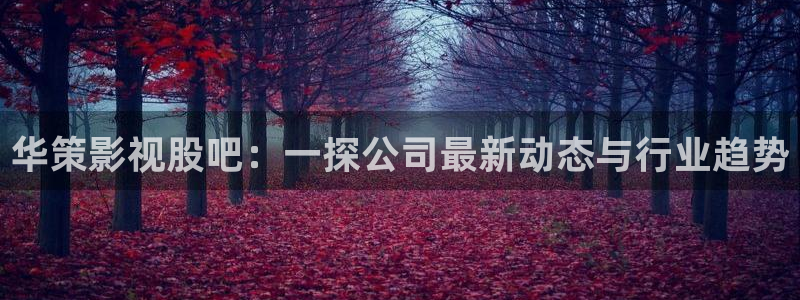 华策影视股吧：一探公司最新动态与行业趋势