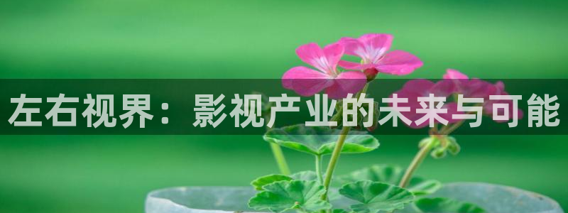 左右视界：影视产业的未来与可能